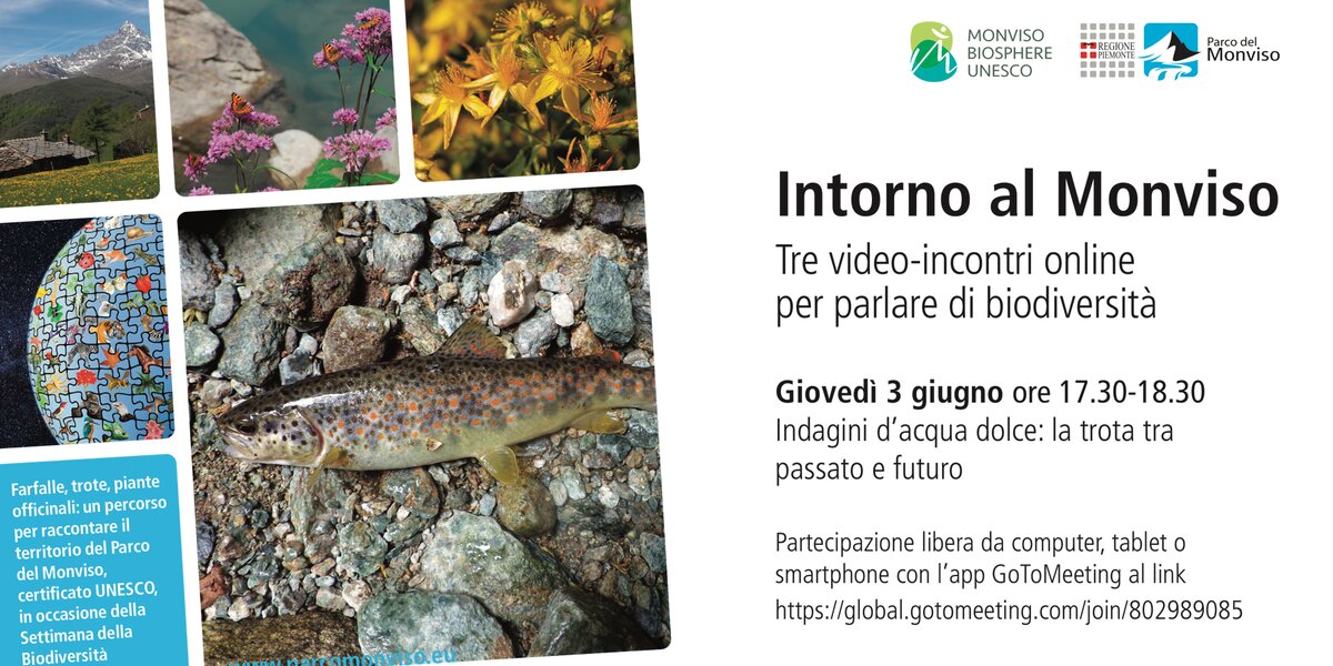 locandina del webinar