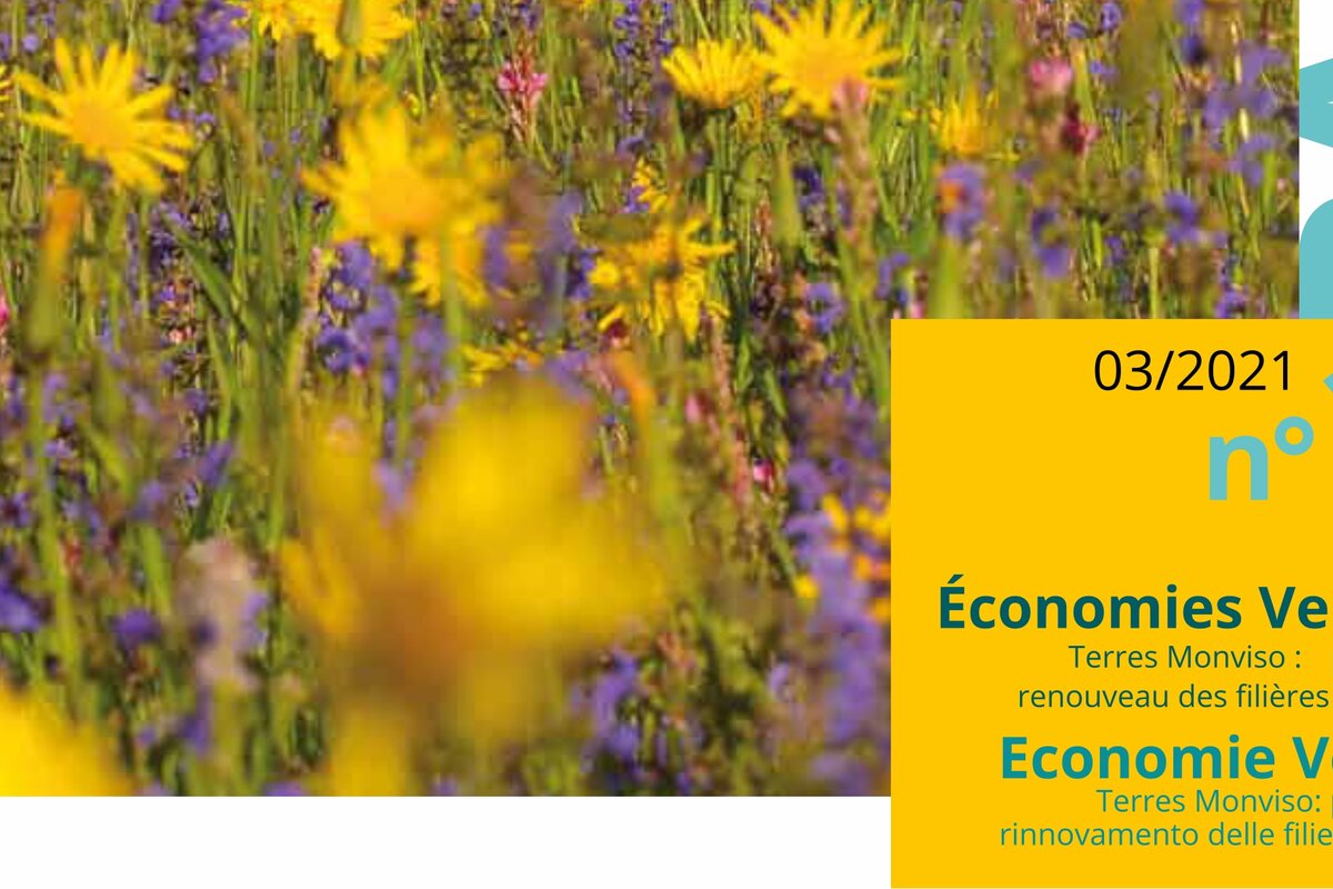 copertina della rivista con prato fiorito e titolo