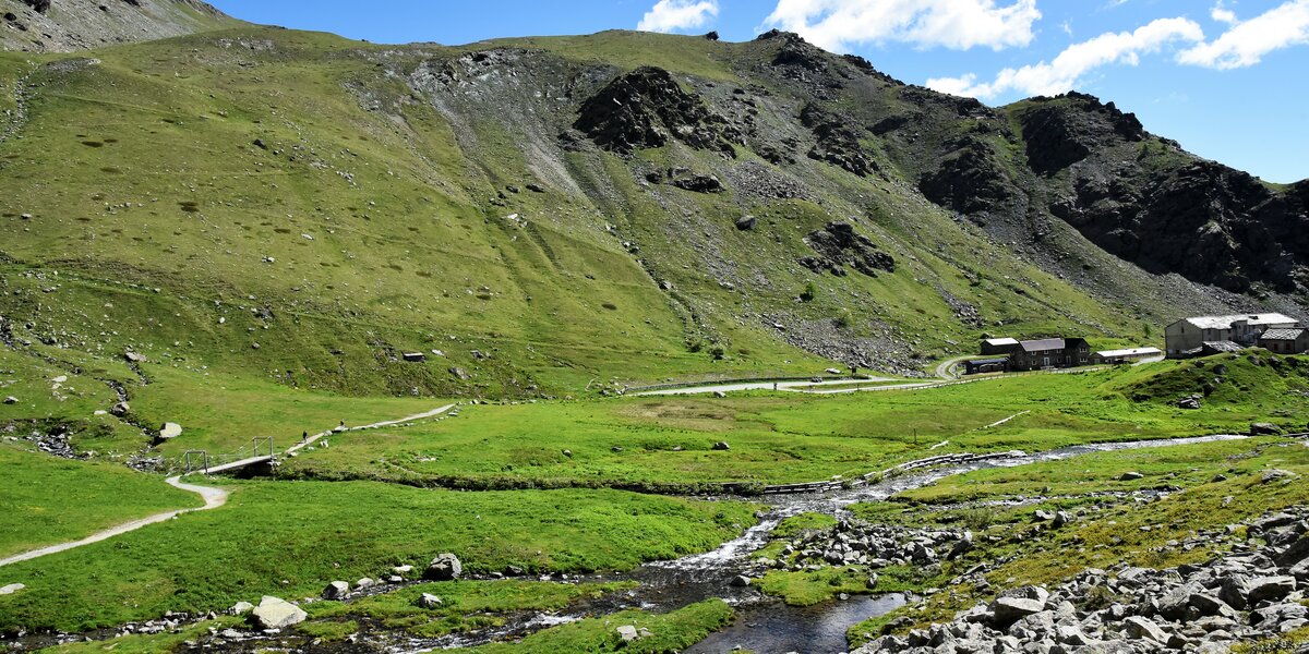 in primo piano torbiera e prateria alpina, po ruscello e sentiero. sullo sfondo montagne verdi e cielo azzurro.
