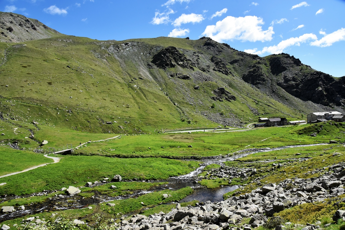 in primo piano torbiera e prateria alpina, po ruscello e sentiero. sullo sfondo montagne verdi e cielo azzurro.