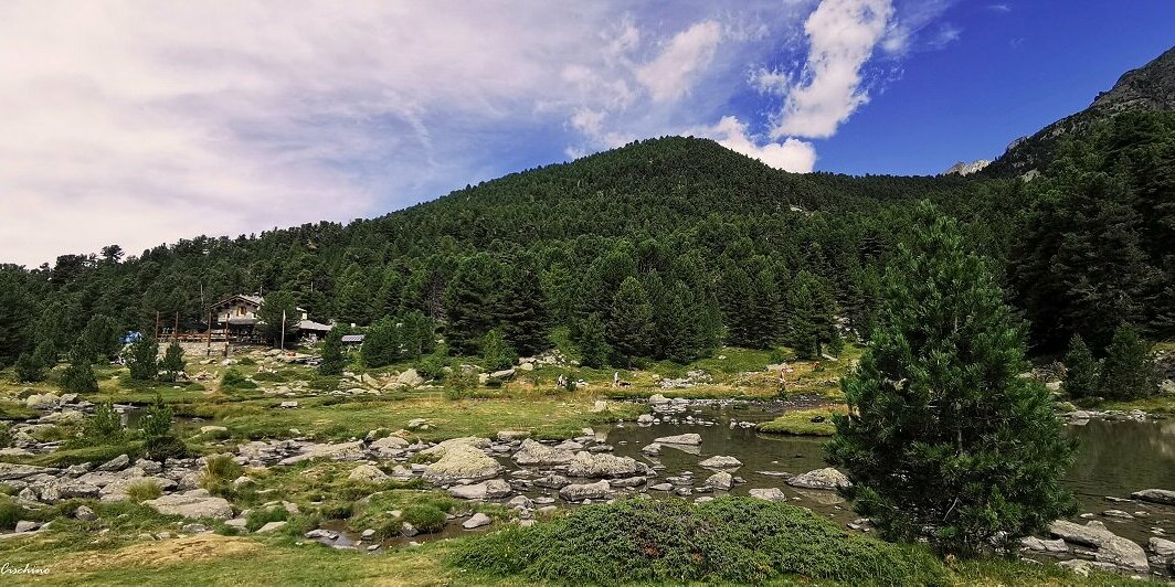 lago montano contornato da alberi e sullo sfondo il rifugio