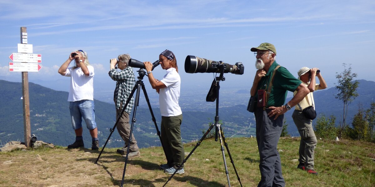 Cinque volontari in piedi sulla sommità del Bric Lombatera con binocoli in mano o davanti a cannocchiali appoggiati su treppiede osservano il cielo