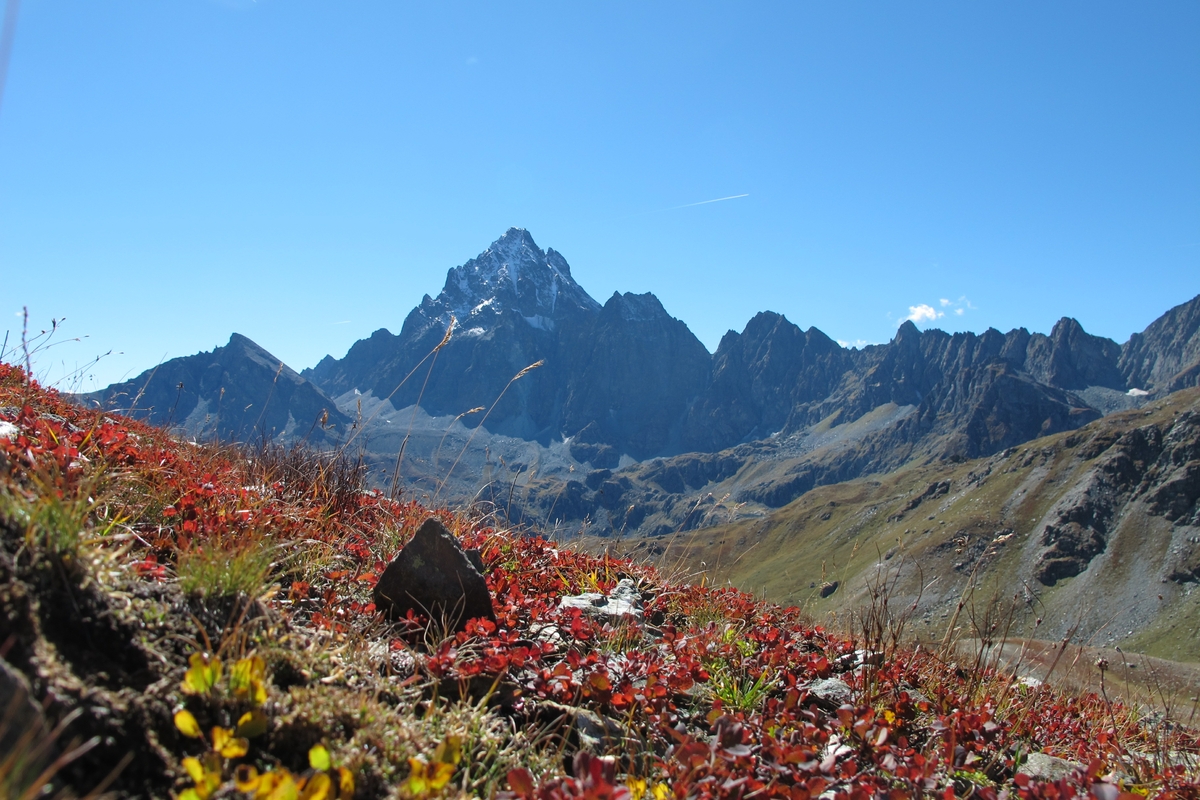 immagine diurna, sullo sfondo profilo del Monviso, in primo piano prateria alpina in tenuta autunnale con erbe rossastra