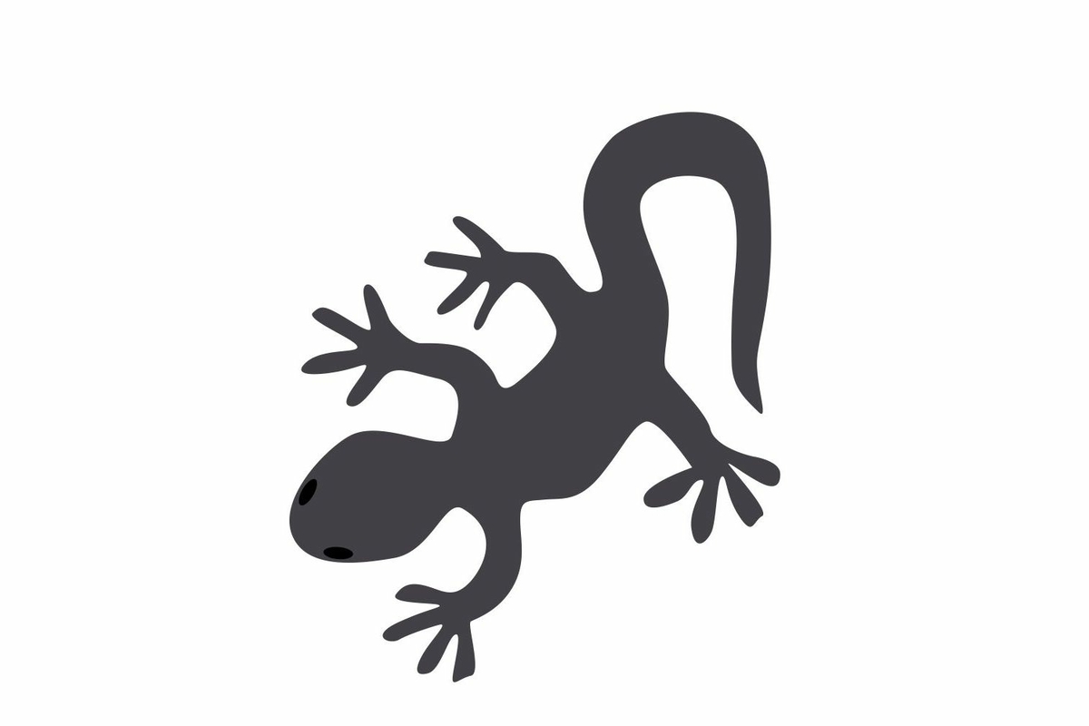 Disegno della salamandra di lanza