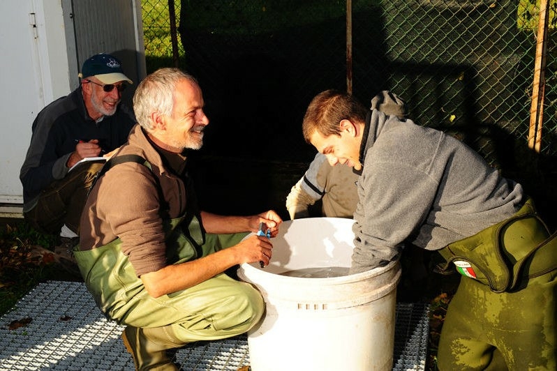 Quattro volontari dell'ATAAI, con stivali a stivali da pesca accovacciata davanti ad un secchio osservano un pesce