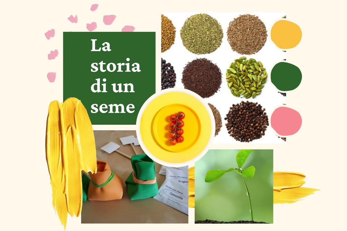 Locandina del laboratorio La storia di seme, con immagini di diversi tipi di semi