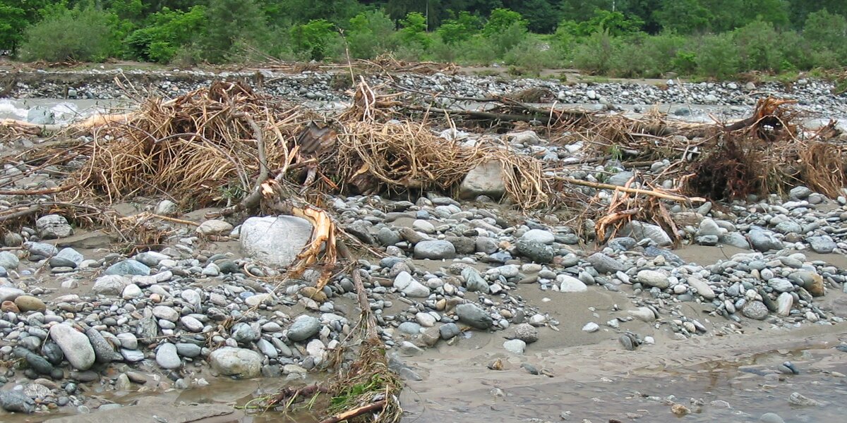 Alberi sradicati giacciono sull'alveo di pietre e ghiaia di un fiume in seguito ad un evento alluvionale. sullo sfondo alberi e case