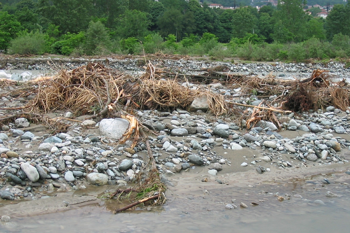 Alberi sradicati giacciono sull'alveo di pietre e ghiaia di un fiume in seguito ad un evento alluvionale. sullo sfondo alberi e case
