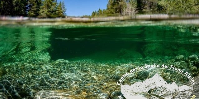 immagine di un fiume ripreso sotto il pelo dell'acqua. sotto sassi che riflettono la luce dentro l'acqua, sopra, alberi che crescono lungo il fiume. sull'immagine il logo di Alpstream