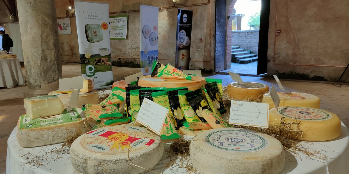Una tavola con tovaglia bianca con esposte diverse forme di formaggio. Sullo sfondo l'interno dell'edificio medievale della foresteria di Staffarda