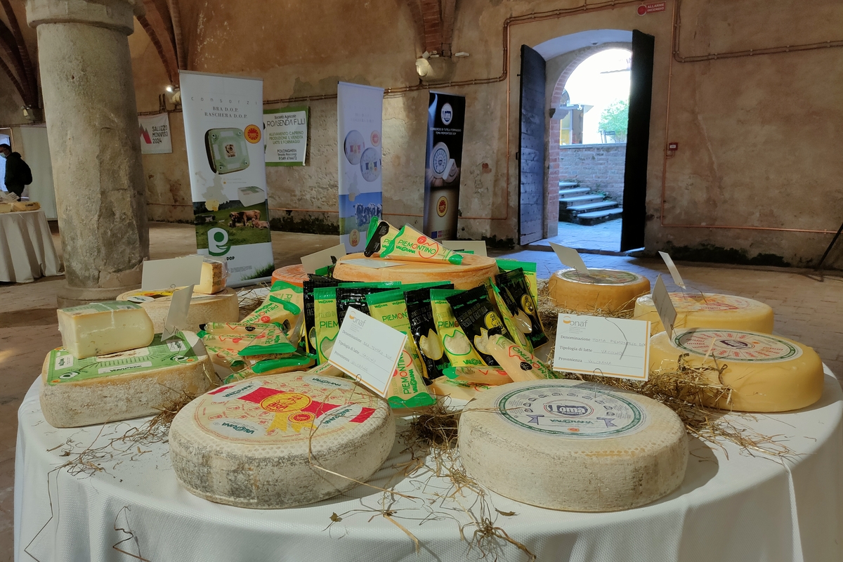 Una tavola con tovaglia bianca con esposte diverse forme di formaggio. Sullo sfondo l'interno dell'edificio medievale della foresteria di Staffarda