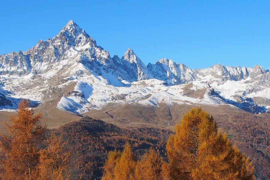 Vista sul Monviso innevato, con alberi in veste autunnale in primo piano