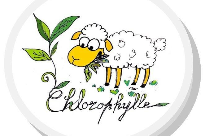 logo dell'azienda con il disegno di una pecora