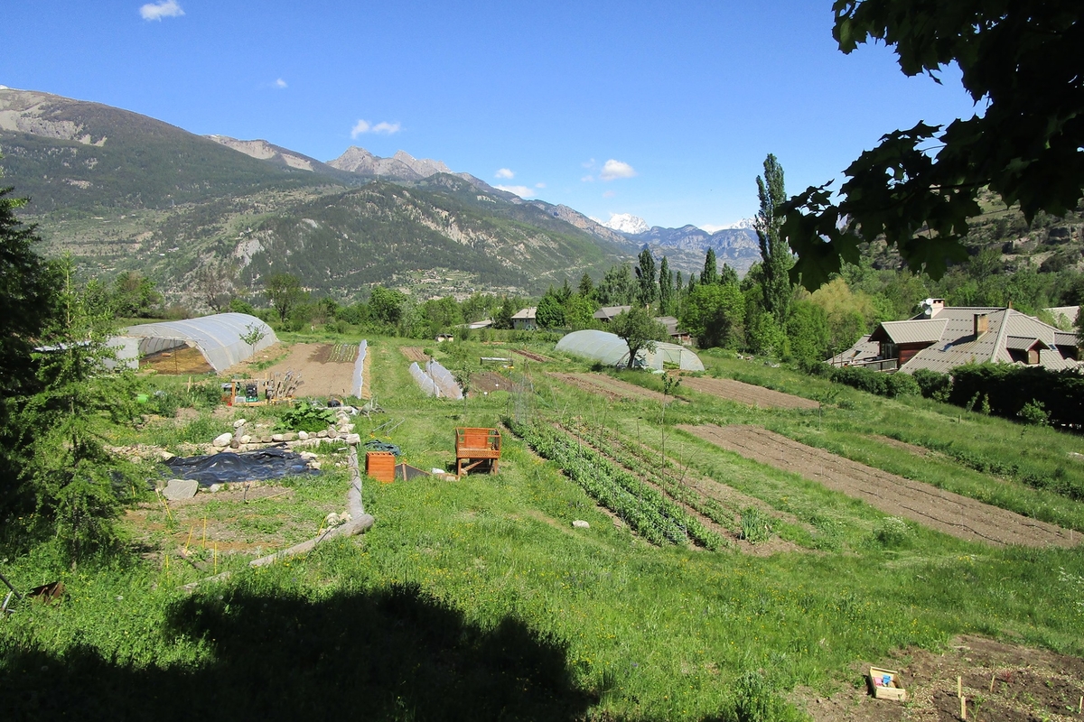 immagine di campi coltivati tra le montagne