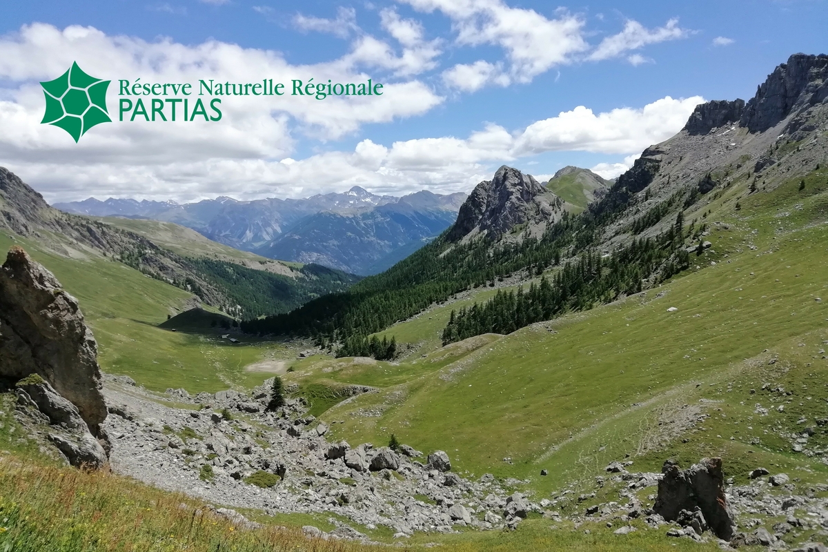 panorama montano con praterie e rocce in primo piano e cielo azzurro