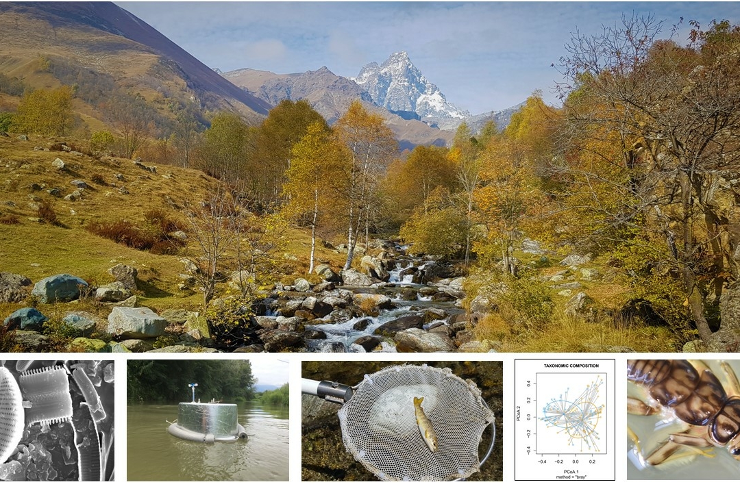 L'immagine è un collage di diverse foto. In primo piano si osserva un fiume fotografato nel periodo autunnale. Immediatamente sotto sono rappresentati nell'ordine: alcune diatomee al microscopio elettronico, una camera flottante a pelo dell'acqua utilizzata per la misurazione della CO2, una trota catturata durante un censimento della fauna ittica con elettrostorditore, un grafico raffigurante l'output grafico di un ordinamento statistico (PCoA), un Plecottero
