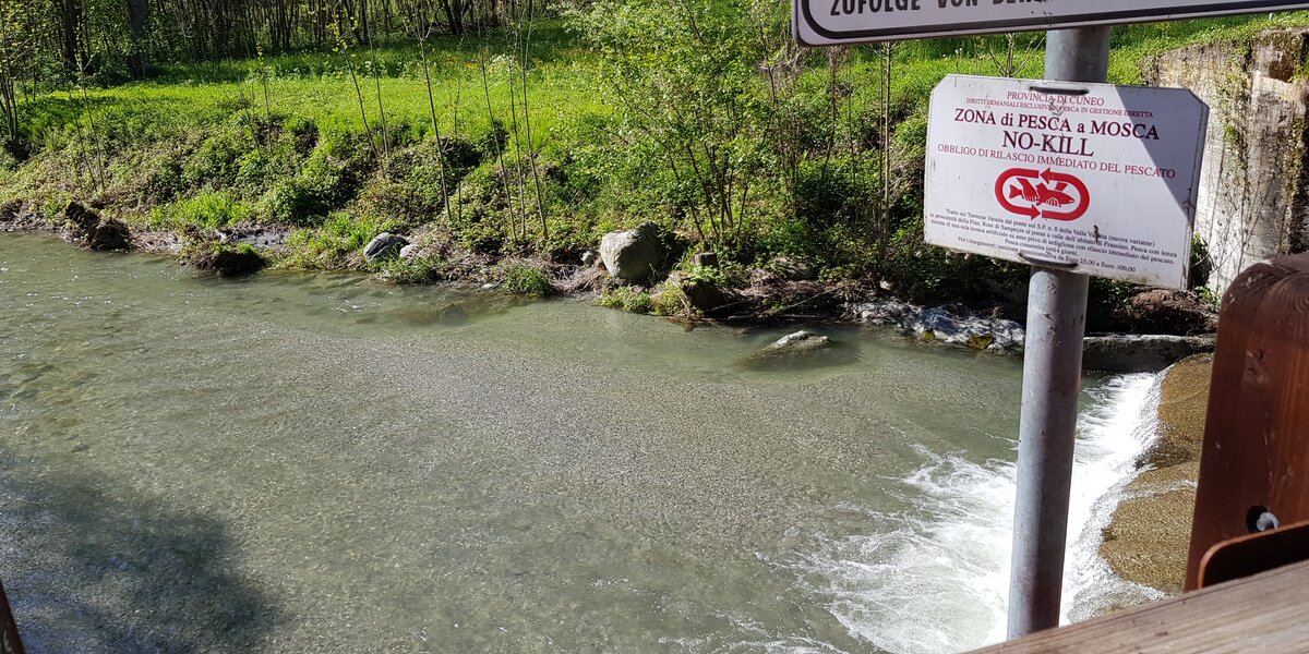 Effetti delle operazioni di svaso della Diga di Sampeyre nei pressi dello storico tratto no-kill sul torrente Varaita: nella foto si osserva il letto fluviale significativamente impattato dall’accumulo di sedimento fine