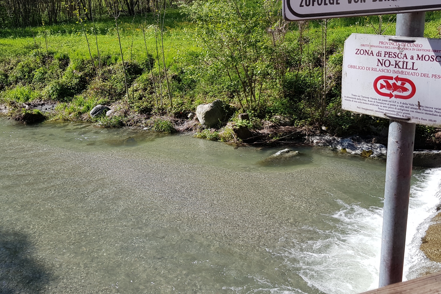 Effetti delle operazioni di svaso della Diga di Sampeyre nei pressi dello storico tratto no-kill sul torrente Varaita: nella foto si osserva il letto fluviale significativamente impattato dall’accumulo di sedimento fine