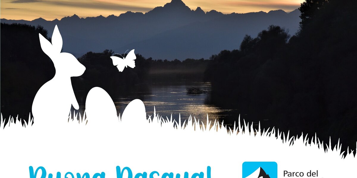 Immagine con descrizione mancante