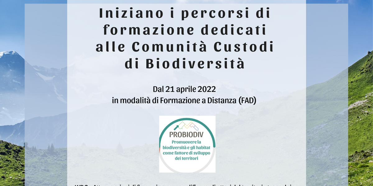 locandina del corso