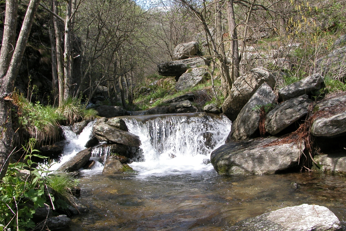 Immagine del Po torrente con una piccola cascata al centro della foto. Intorno grandi massi e vegetazione autunnale