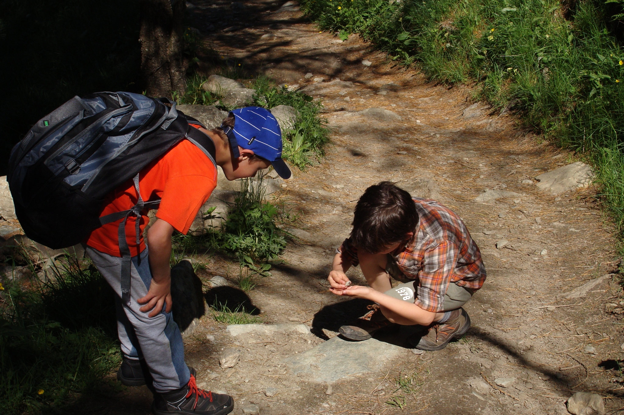 Due bambini su un sentiero in un bosco osservano il suolo