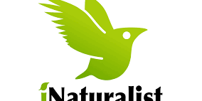 Logo dell'app i-naturalist