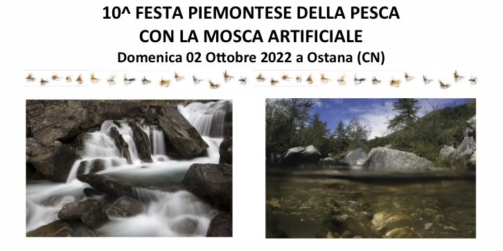 locandina della decima edizione della Festa Piemontese della Pesca con la Mosca Artificiale