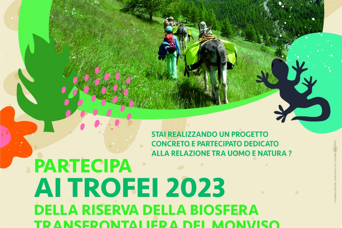 locandina del trofeo