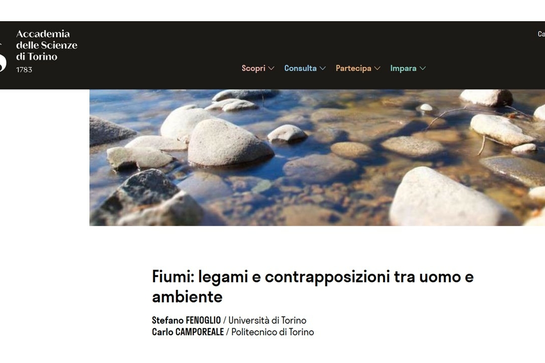 foto del sito web dell'Accademia delle Scienze di Torino per la promozione del seminario online