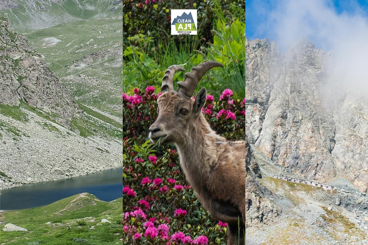 collage di tre foto: da sinistra a destra: il lago Fiorenza, uno stambecco tra fiori rosa, le casermette poste poco a valle del Buco di Viso.