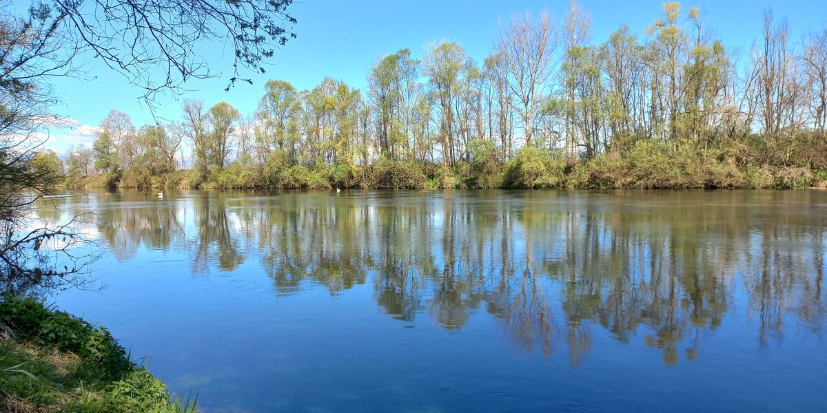 Tratto di fiume con alberi sulla sponda che si riflettono nell'acqua