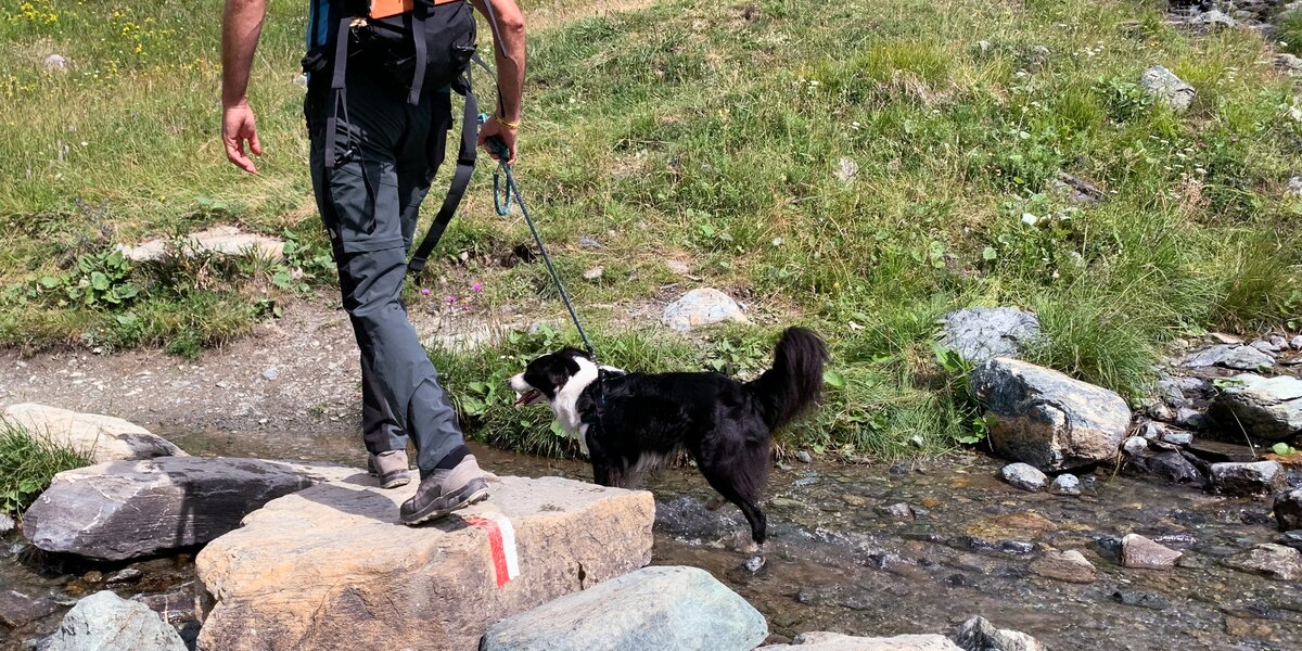 un escursionista di schiena attraversa un piccolo corso d'acqua tenendo al guinzaglio il proprio cane.