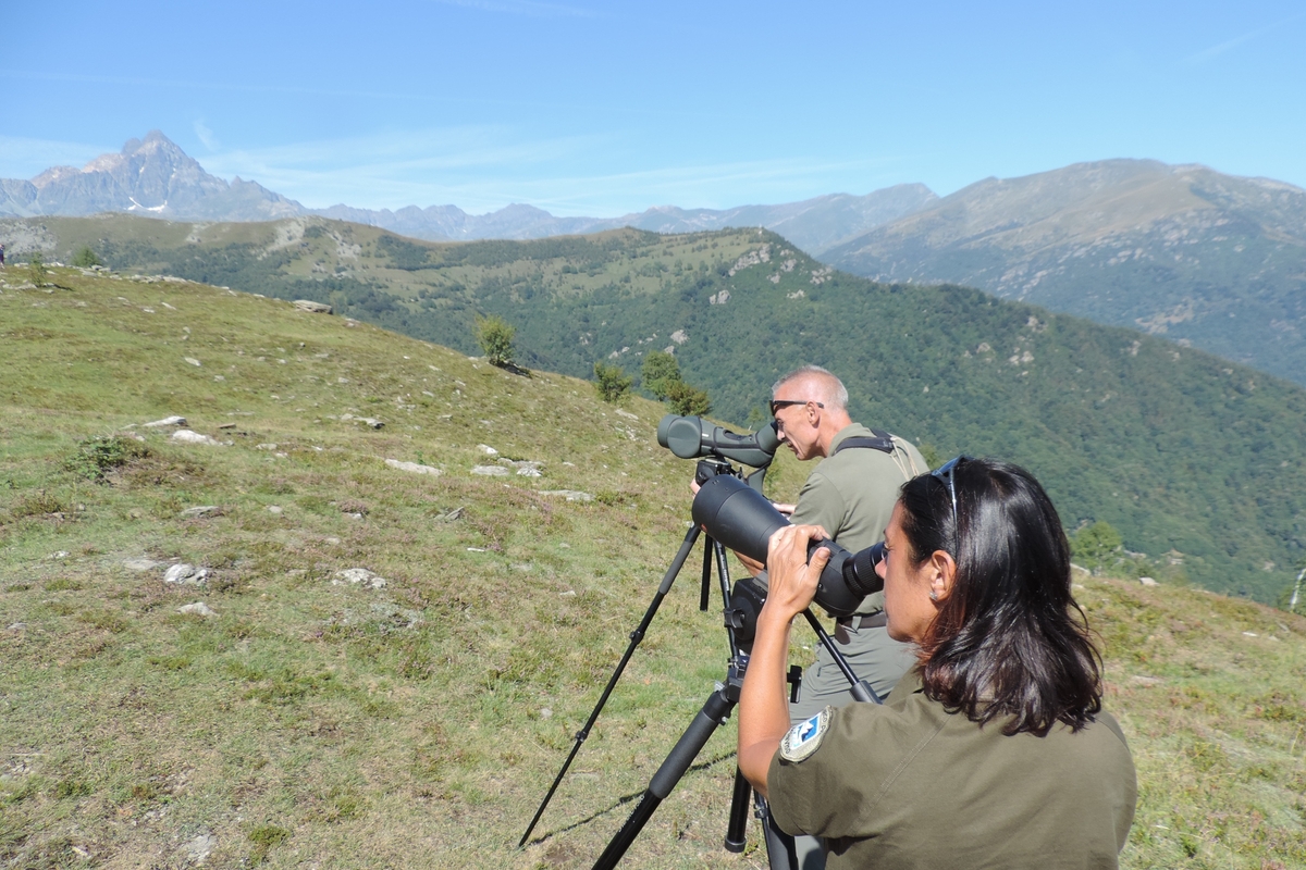 due persone, in basso a destra nella foto e colte a bezzo busto, sono intente ad osservare il cielo con dei binocoli. Sullo sfondo, si vede il Monviso.