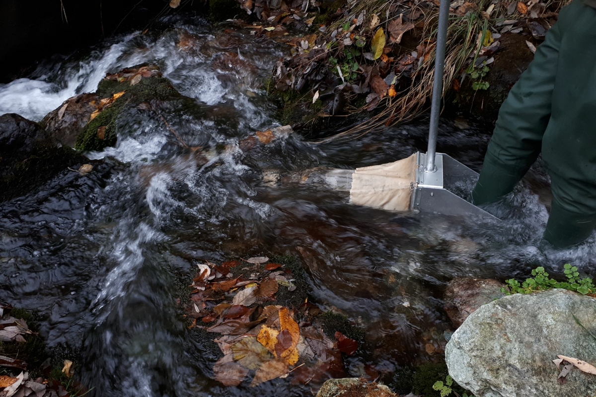 sul lato destro della foto si vedono le gambe di un ricercatore, coperte da una tuta impermeabile, immerse nell'acqua di un torrente alpino. Il ricercatore sta tenendo in mano uno speciale retino per catturare i micro invertebrati fluviali a scopo di studio.