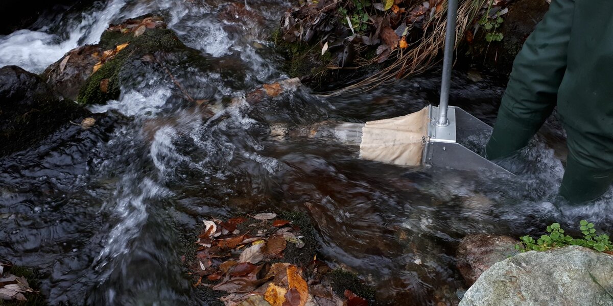 sul lato destro della foto si vedono le gambe di un ricercatore, coperte da una tuta impermeabile, immerse nell'acqua di un torrente alpino. Il ricercatore sta tenendo in mano uno speciale retino per catturare i micro invertebrati fluviali a scopo di studio.