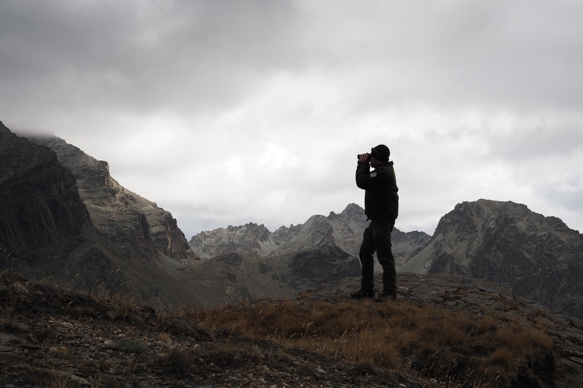 un guardiaparco del Parco del Monviso si staglia nella penombra di una giornata nuvolosa. Lo vediamo lateralmente: con un binocolo è rivolto verso la sinistra della fotografia; intorno a lui un panorama montuoso.
