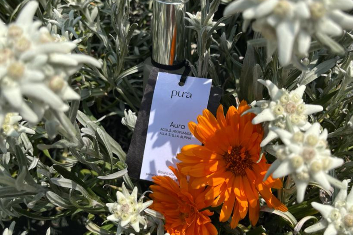 una confezione di prodotto appoggiata a terra tra stelle alpine e altri fiori.