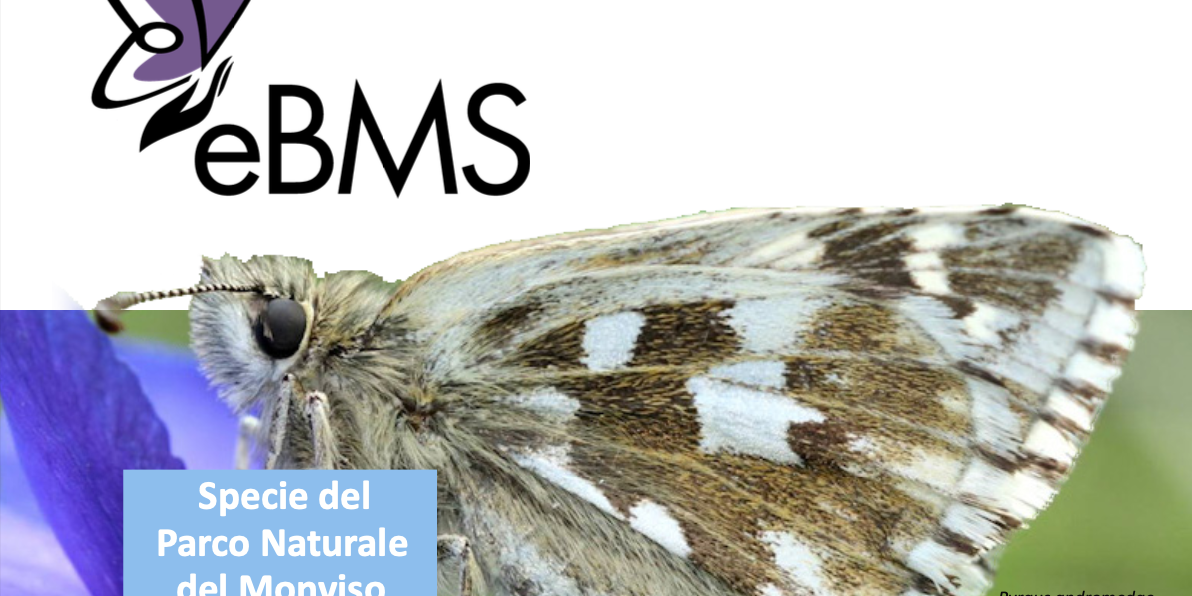 particolare della copertina della guida