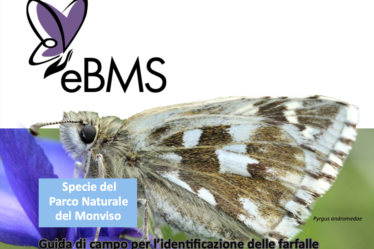 particolare della copertina della guida