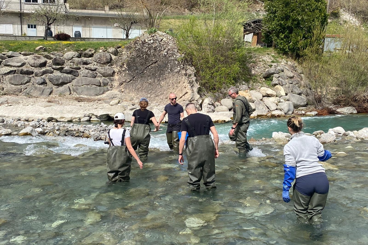 Foto che ritrae gli studenti del master durante l'attività di campionamento in fiume