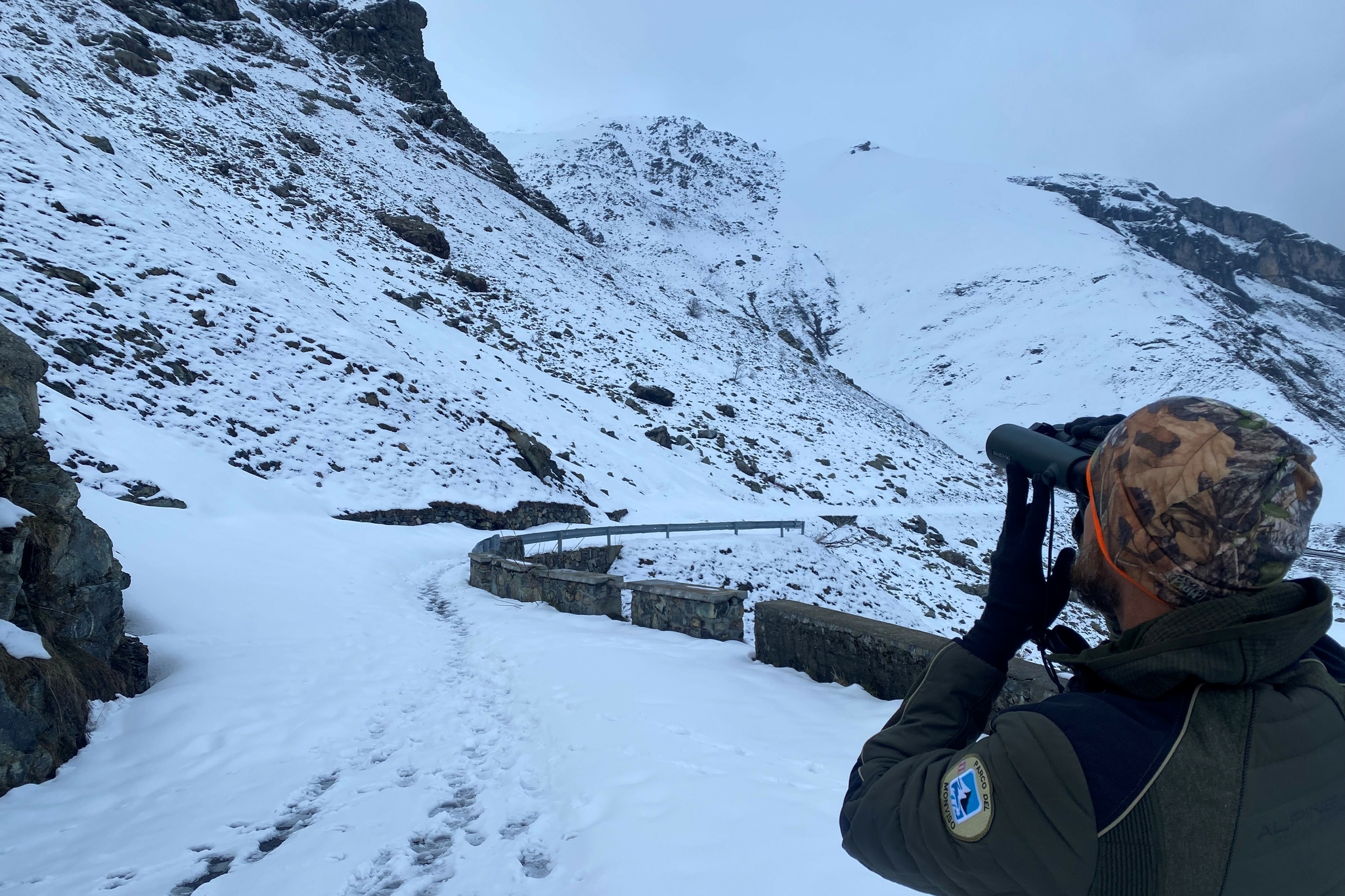 Un guardiaparco di spalle e con binocolo, nella parte destra della foto, guarda il versante montuoso innevato di fronte a lui.