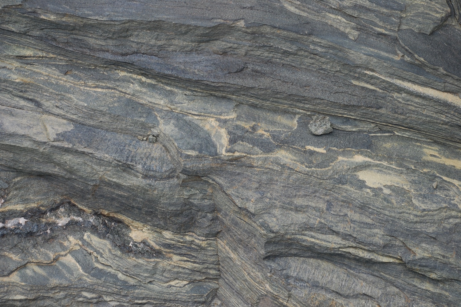 Immagine con descrizione mancante