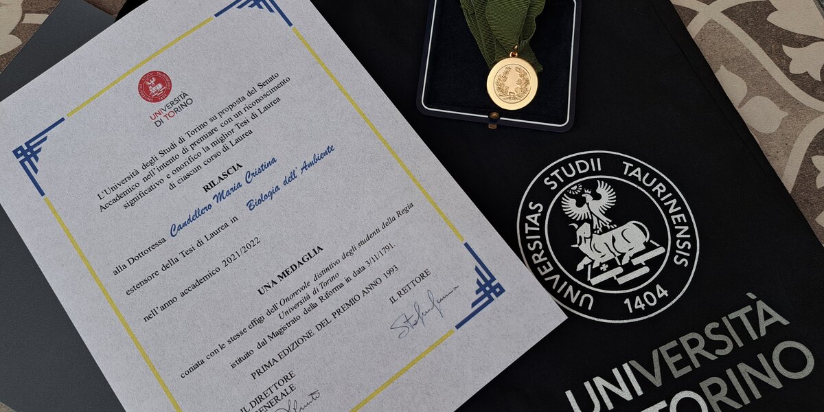 L'attestato rilasciato dall'università di torino e la medaglia consegnata alla tesista