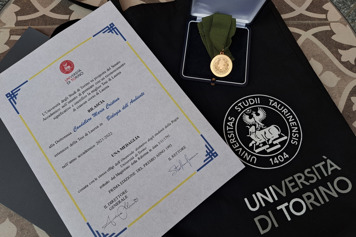 L'attestato rilasciato dall'università di torino e la medaglia consegnata alla tesista