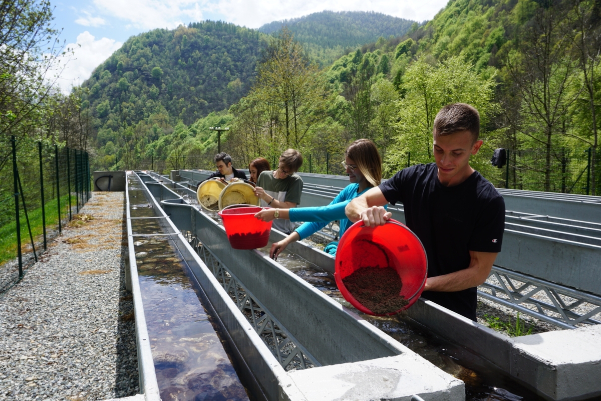 cinque giovani ricercatori universitari stanno conducendo un esperimento, versando da dei secchielli rossi del sedimento sabbioso in canalette che simulano il corso di un fiume. È estate e intorno la vegetazione è verde, si intravede il cielo azzurro sullo sfondo della fotografia.