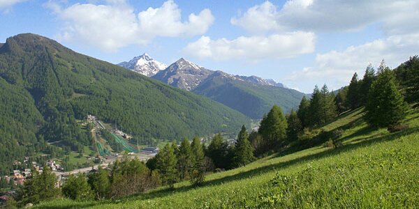 panorama alpino con pascoli e montagne sullo sfondo