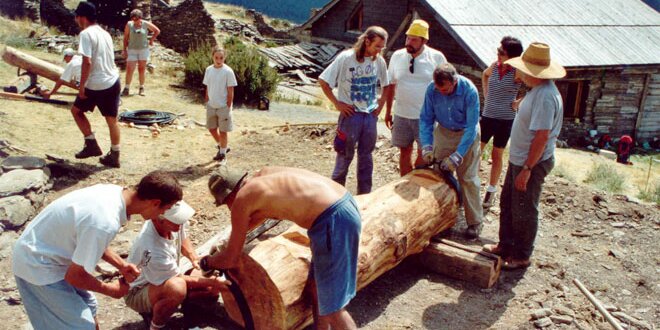 persone impegnate in un lavoro comune intorno a un tronco di albero da trasformare in elemento architettonico