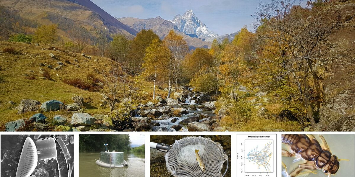 The image is a collage of several photos. In the foreground, there is a river photographed in autumn. Directly below are, in order: some diatoms seen under an electron microscope, a floating chamber at the water’s surface used for CO₂ measurement, a trout captured during an electrofishing survey of fish fauna, a graph displaying the graphical output of a statistical ordination (PCoA), and a stonefly.