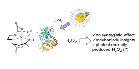 Graphical abstract of the paper Application of Fe(III)–EDDS complexes and soybean peroxidase